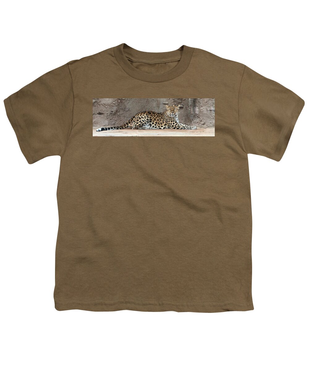 Amur Leapard Youth T-Shirt featuring the photograph The Leopard by David Andersen