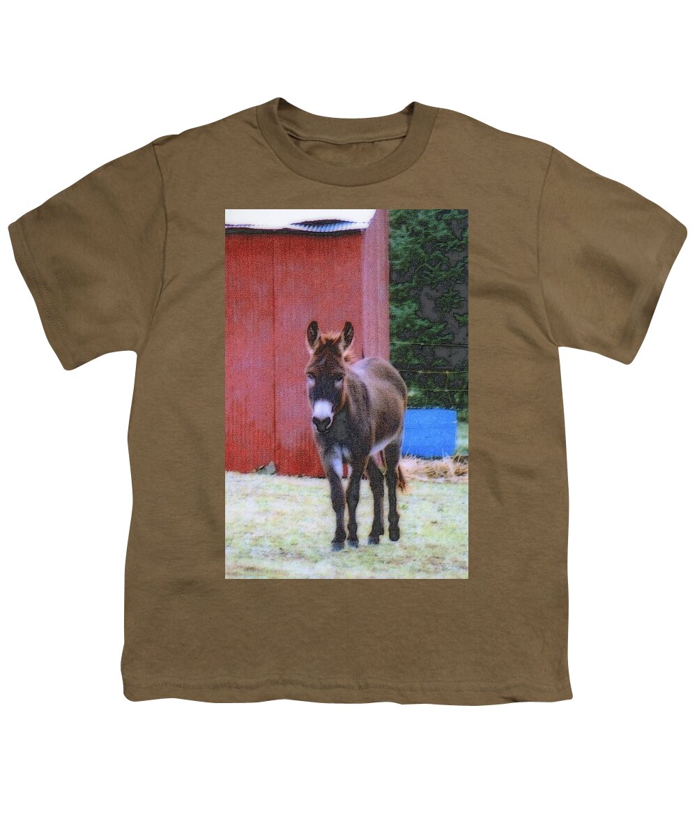 Nature Youth T-Shirt featuring the photograph The Lonely Donkey by Kay Novy