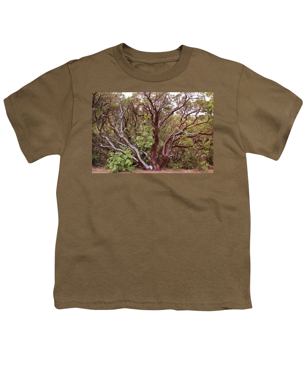 Tree Youth T-Shirt featuring the photograph The Manzanita Tree by Heidi Smith