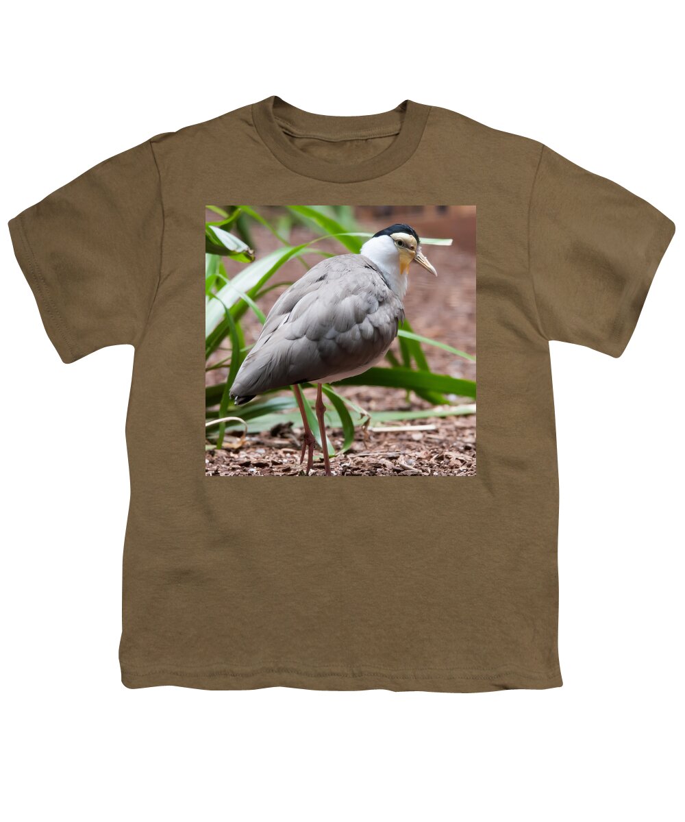 Australian Youth T-Shirt featuring the photograph The Masked Lapwing Vanellus miles previously known as the Mask by Alex Grichenko