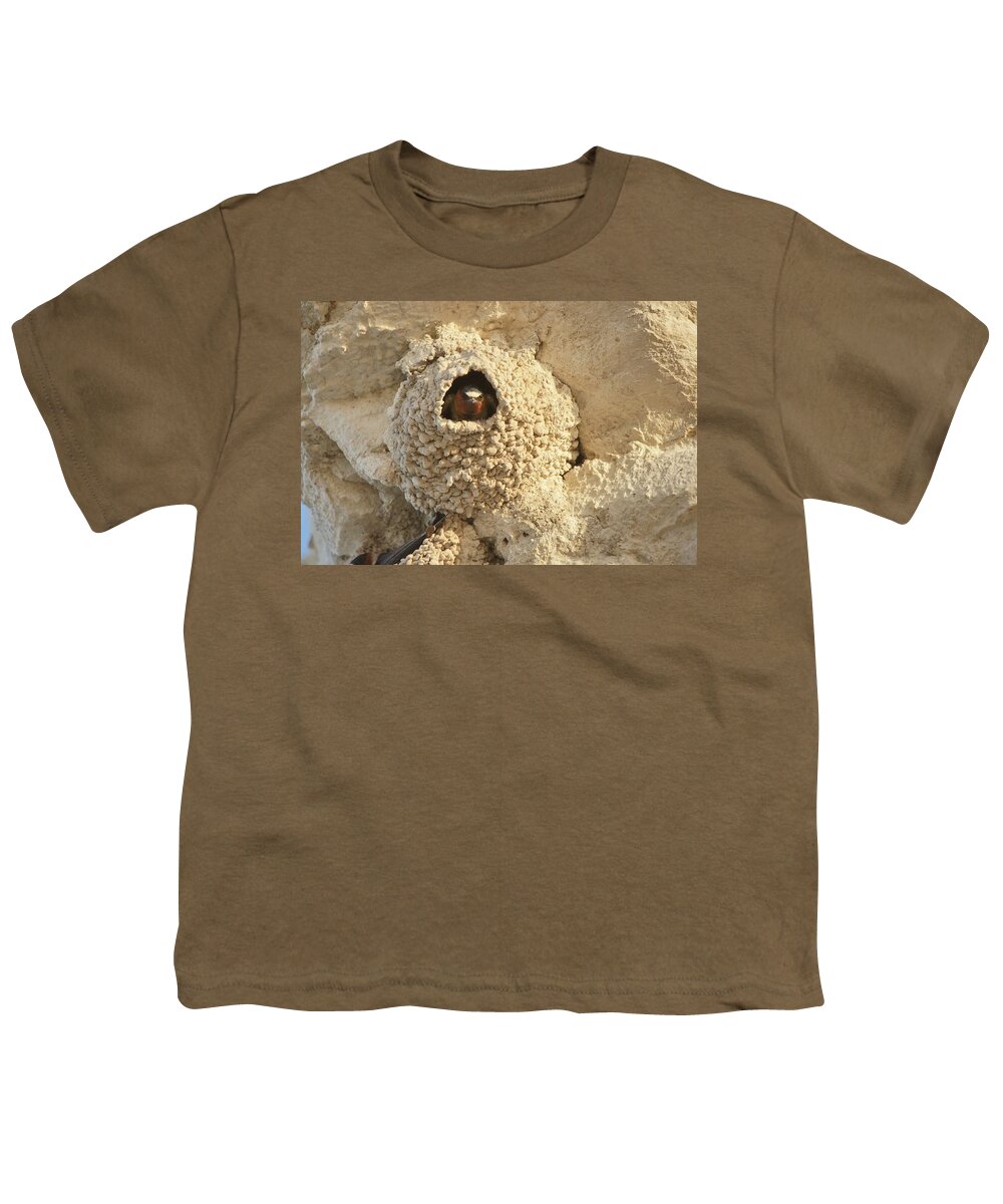 Bird Youth T-Shirt featuring the photograph The Stare by Alan Hutchins