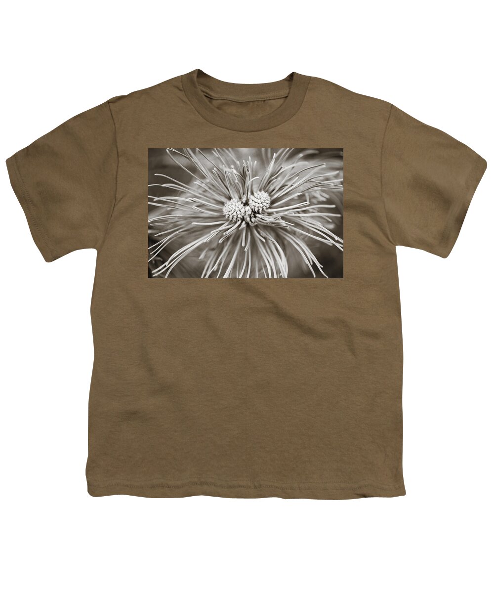 Two Youth T-Shirt featuring the photograph Two Pine Cones by Marilyn Hunt