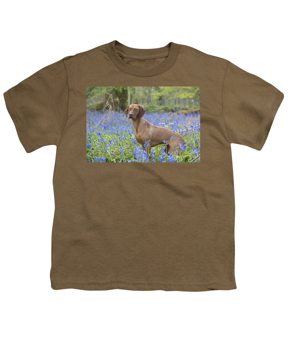 Dog Youth T-Shirt featuring the photograph Vizsla In Bluebells by John Daniels