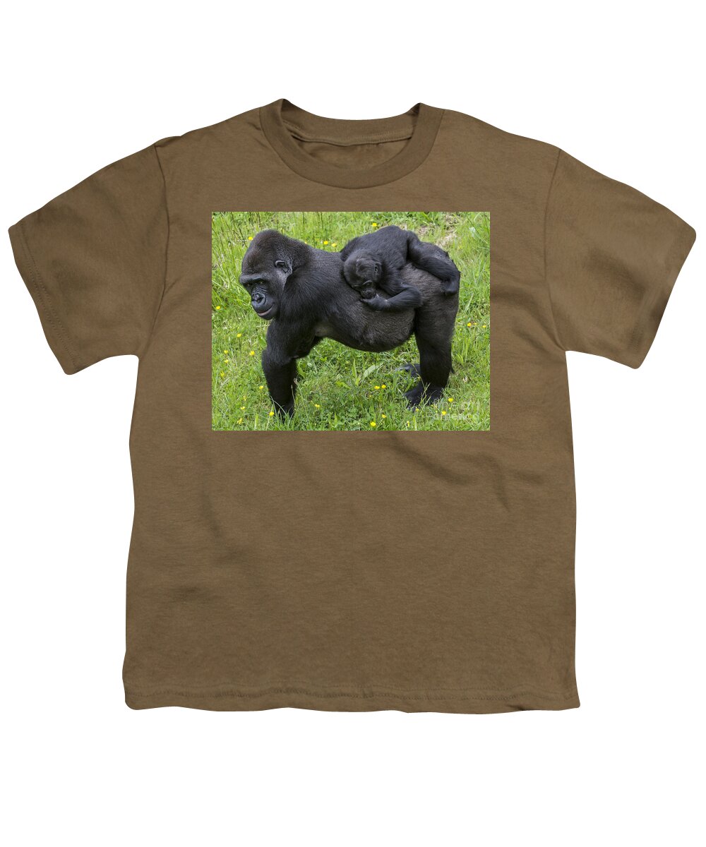 Western Lowland Gorilla Youth T-Shirt featuring the photograph Western lowland gorilla 2 by Arterra Picture Library