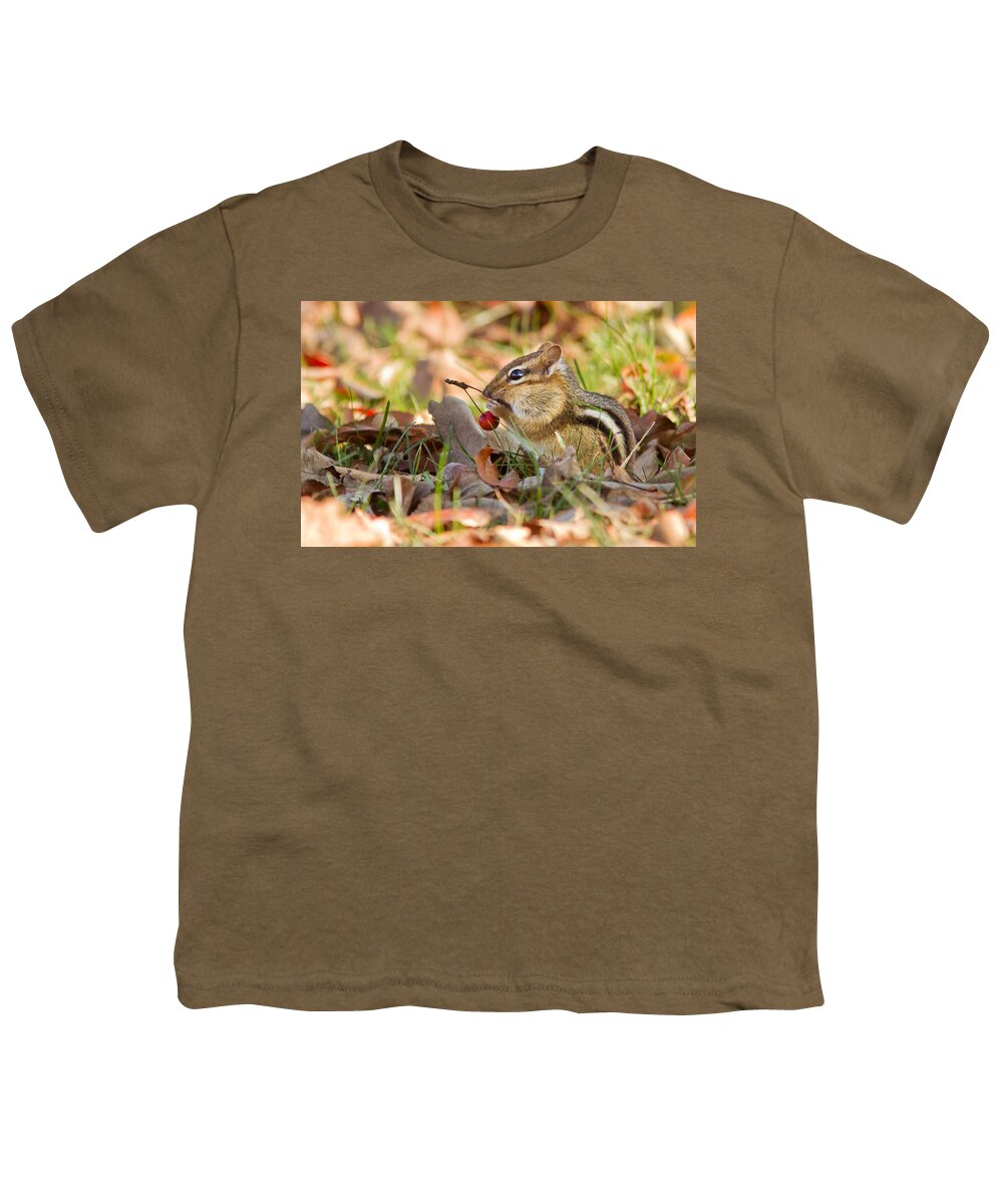 Acorn Youth T-Shirt featuring the photograph Winter Preparation by Mircea Costina Photography