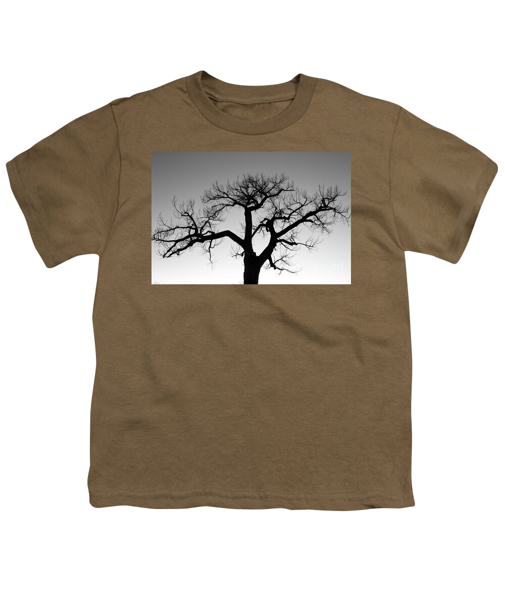 Tree Youth T-Shirt featuring the photograph Winter Tree Silhouette BW by James BO Insogna