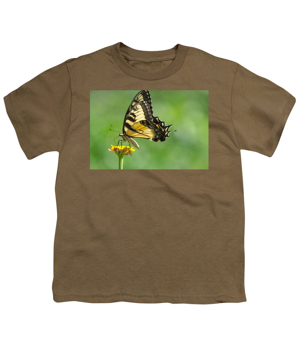 Butterfly Youth T-Shirt featuring the photograph Yellow Butterfly by Shannon Harrington