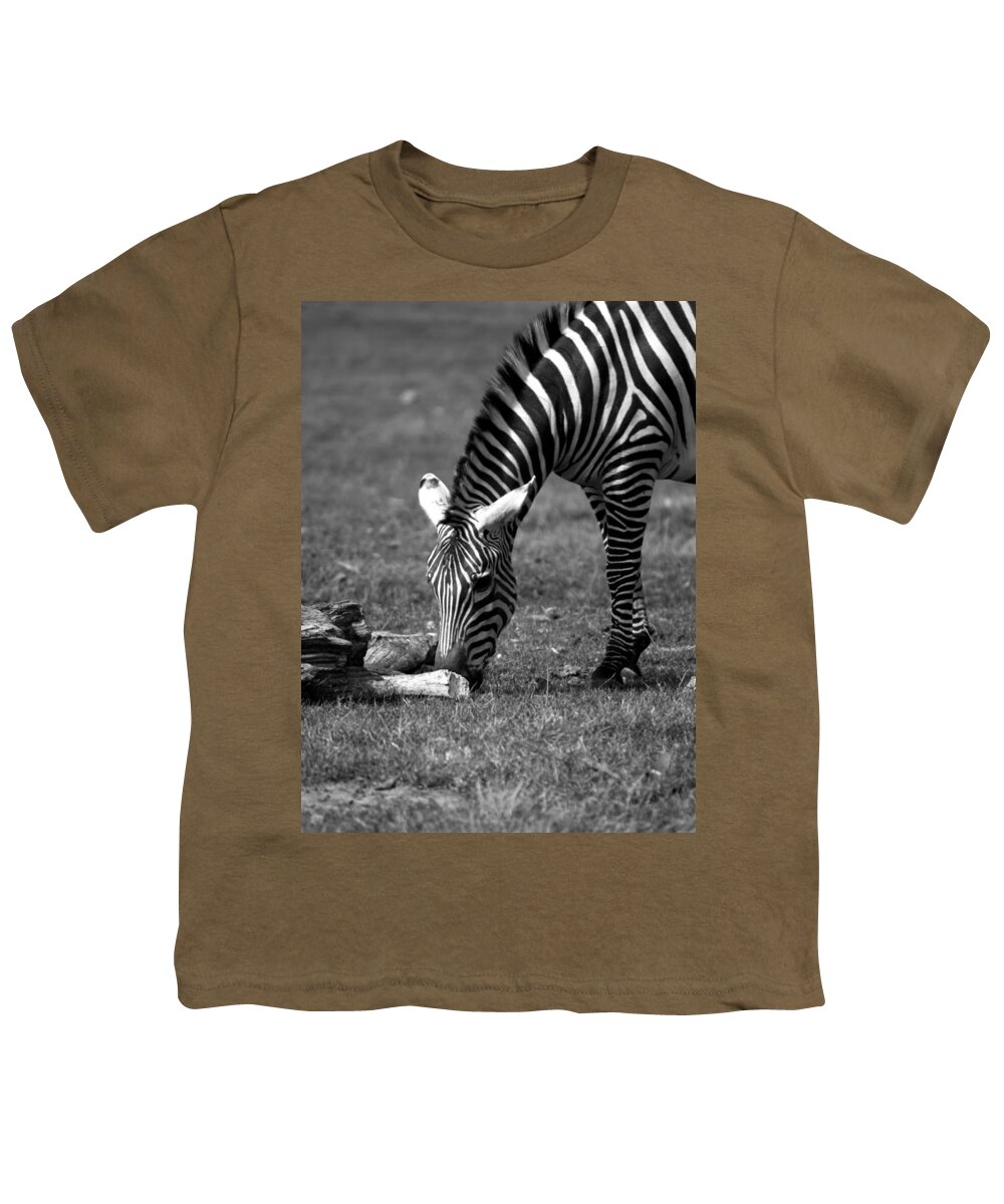 Zebra Youth T-Shirt featuring the photograph Zebra by Tracy Winter