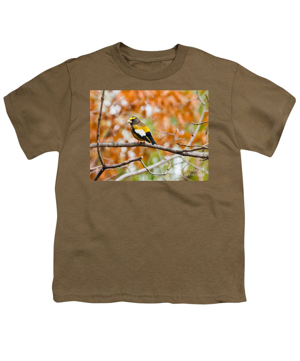 Evening Grosbeak Youth T-Shirt featuring the photograph Autumn Perch by Cheryl Baxter