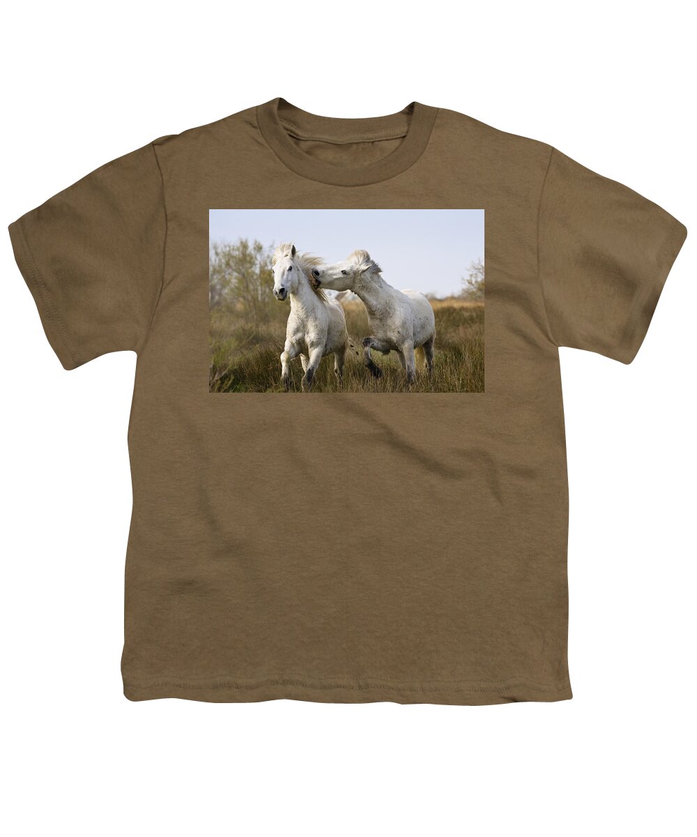 Mp Youth T-Shirt featuring the photograph Camargue Horse Equus Caballus Stallions #1 by Konrad Wothe