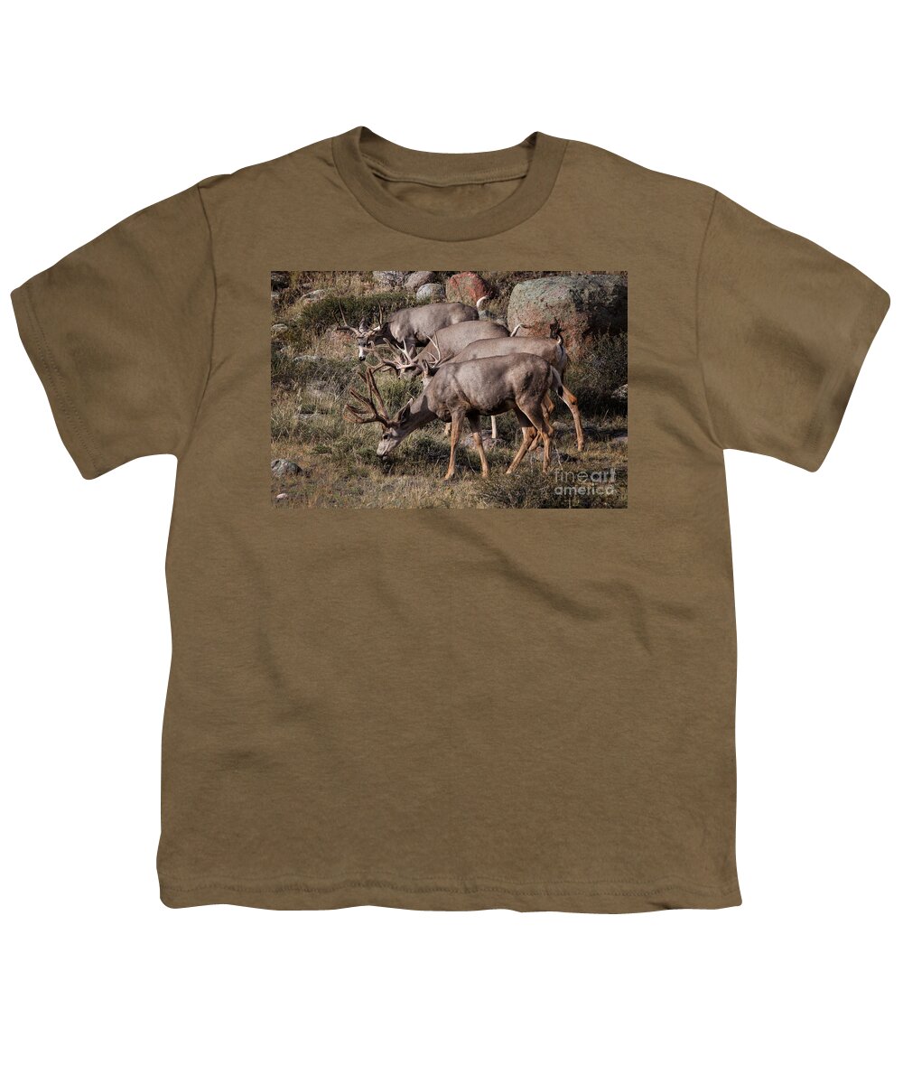 2012 Youth T-Shirt featuring the photograph Mule Deer Bucks #2 by Ronald Lutz