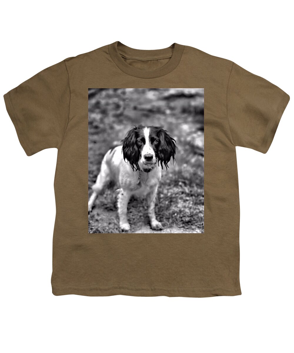 Springer Spaniel Youth T-Shirt featuring the photograph Lady the Springer Spaniel by Marlo Horne