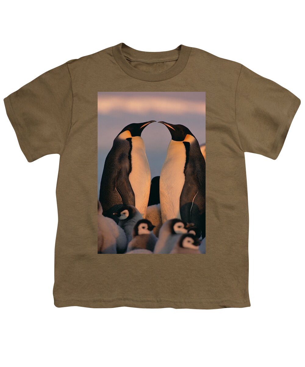 Mp Youth T-Shirt featuring the photograph Emperor Penguin Aptenodytes Forsteri #7 by Konrad Wothe