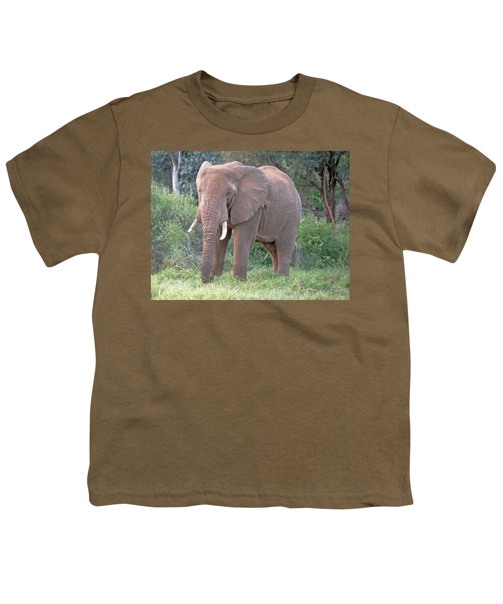 African Elephant Youth T-Shirt featuring the photograph African Elephant by Tony Murtagh