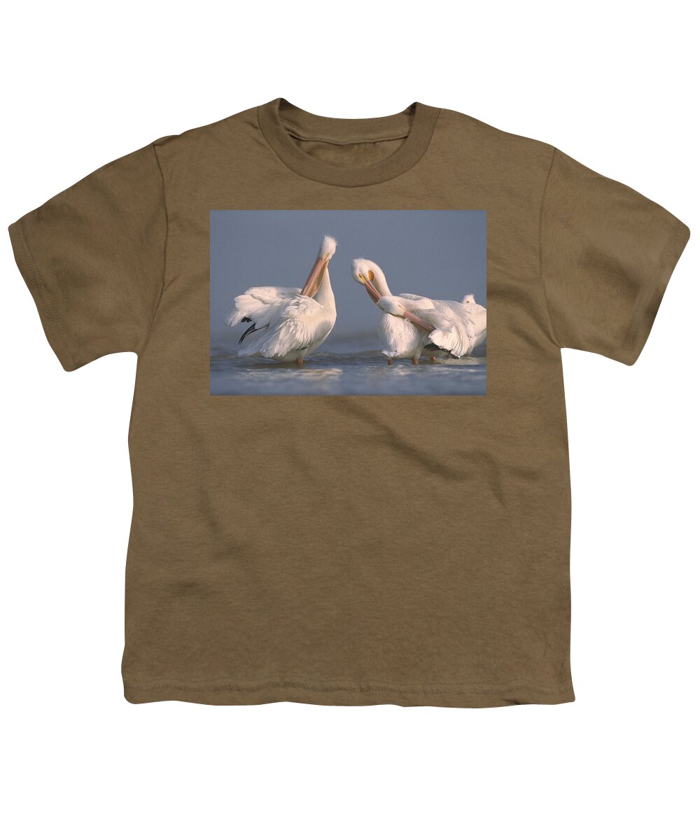 00170048 Youth T-Shirt featuring the photograph American White Pelican Pair Preening by Tim Fitzharris