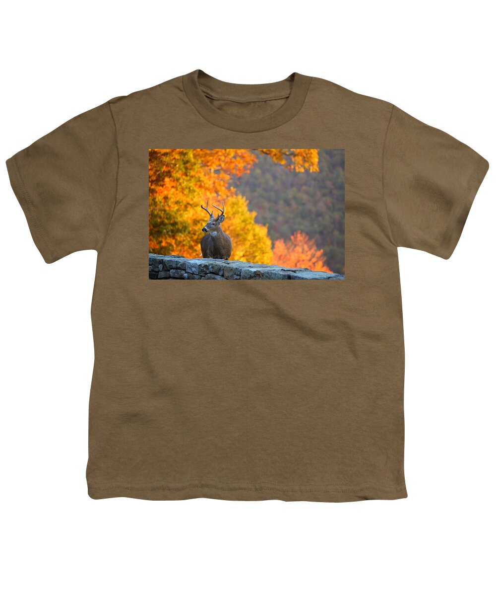Metro Youth T-Shirt featuring the photograph Buck in the Fall 04 by Metro DC Photography