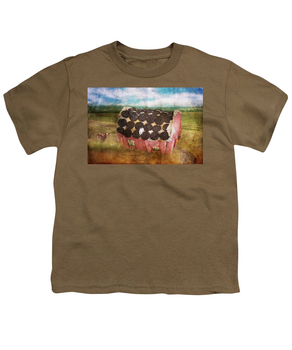Cake Youth T-Shirt featuring the photograph Christmas - Home Sweet Home by Mike Savad