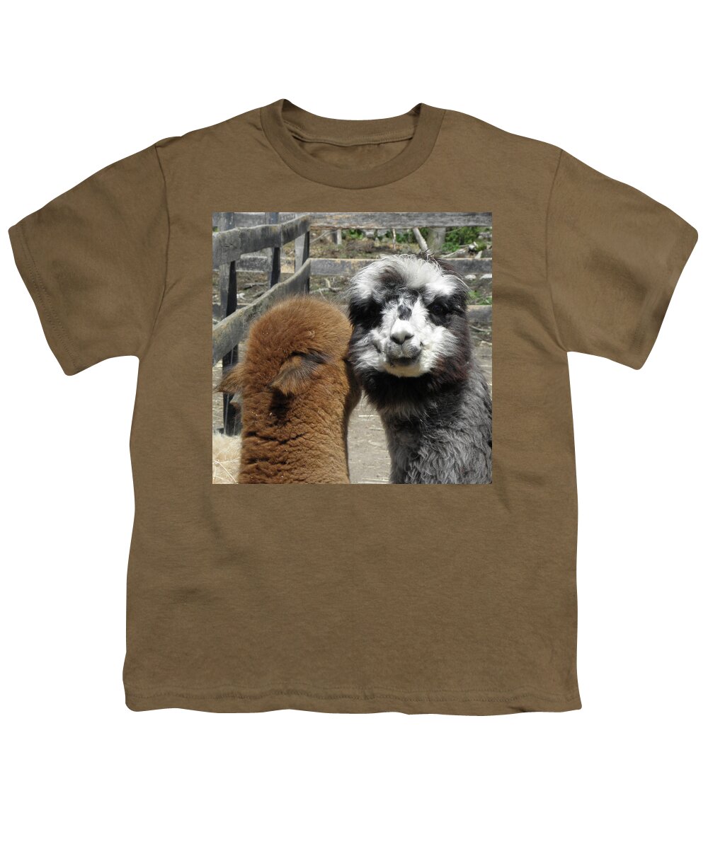 Alpaca Youth T-Shirt featuring the photograph Comfort by Kim Galluzzo Wozniak