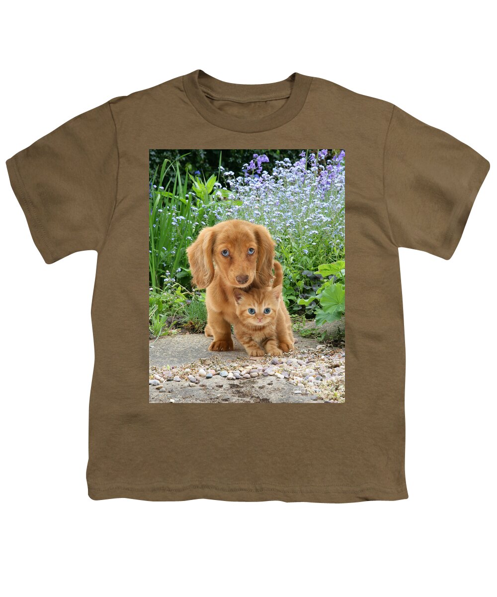 Animal Youth T-Shirt featuring the photograph Dachshund And Tabby by Jane Burton
