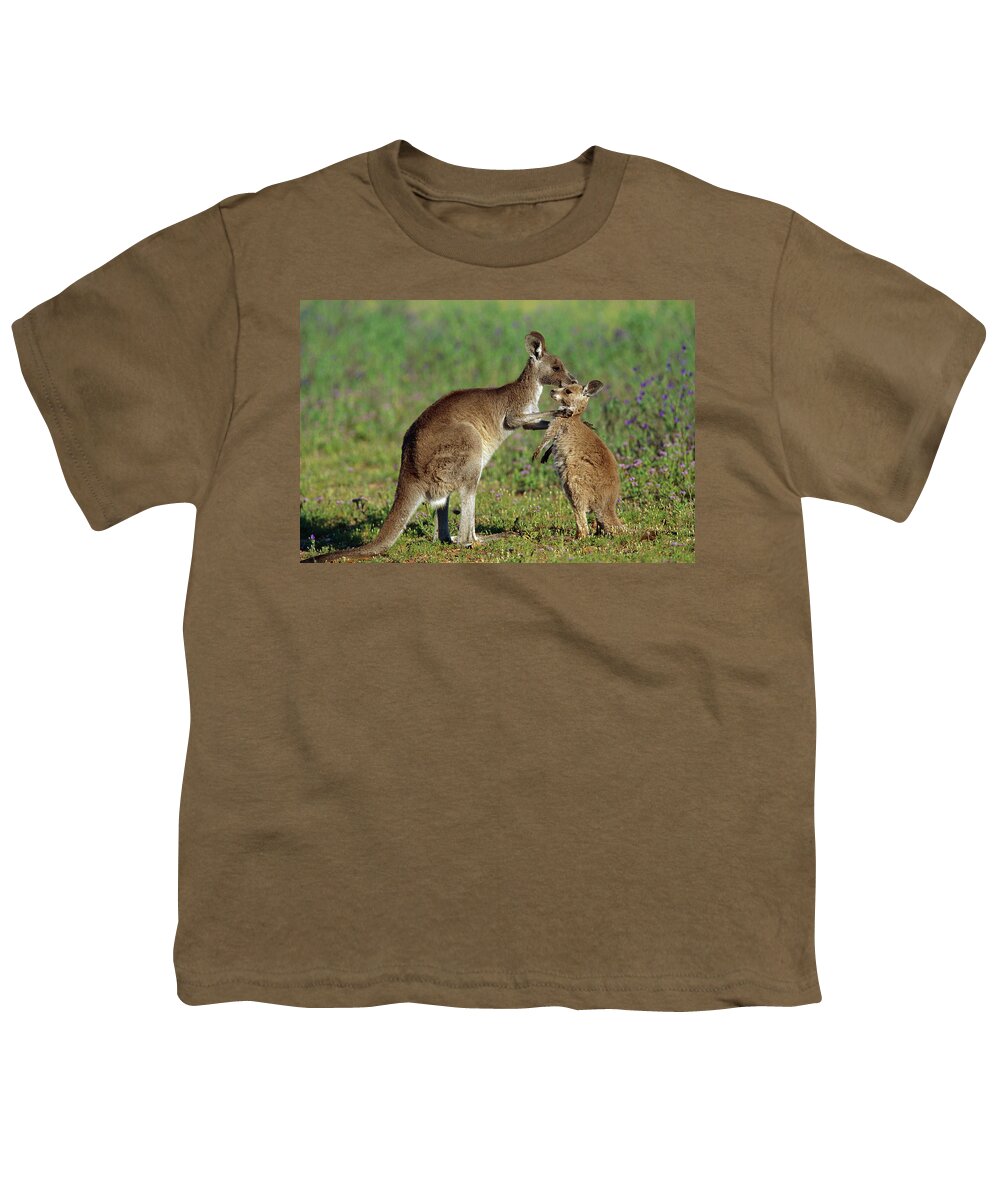 Mp Youth T-Shirt featuring the photograph Eastern Grey Kangaroo Macropus by Cyril Ruoso