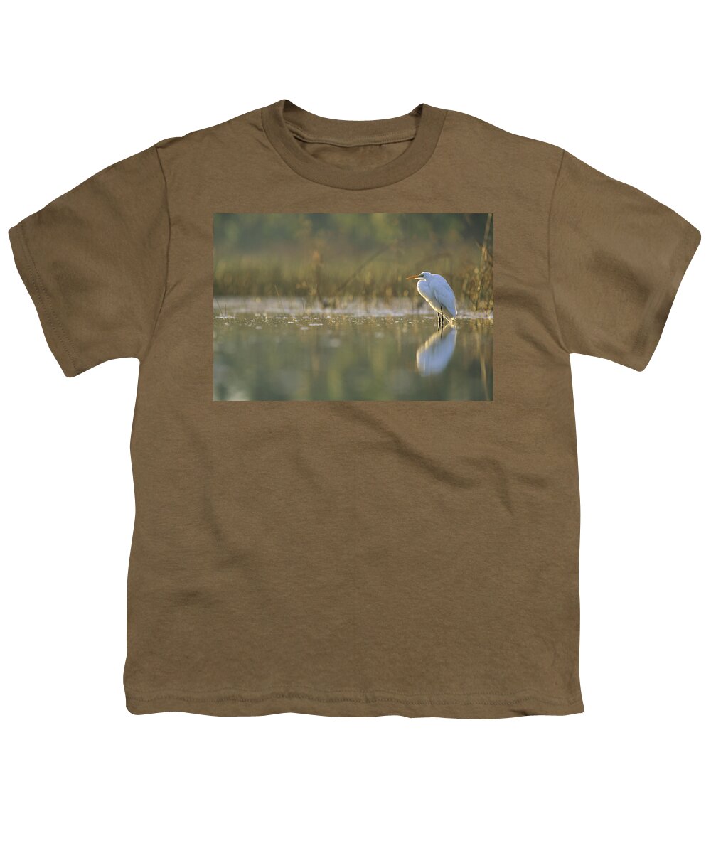 00171449 Youth T-Shirt featuring the photograph Great Egret Backlit In Marsh At Sunset by Tim Fitzharris