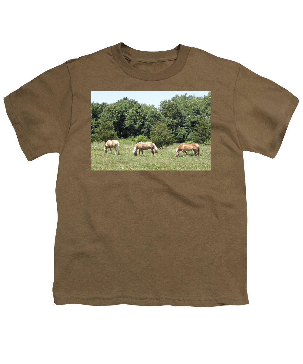 Hafflinger Horses Youth T-Shirt featuring the photograph Hafflinger Family by Kim Galluzzo