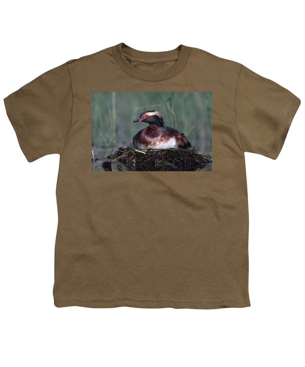 00171877 Youth T-Shirt featuring the photograph Horned Grebe Parent Incubating Eggs by Tim Fitzharris