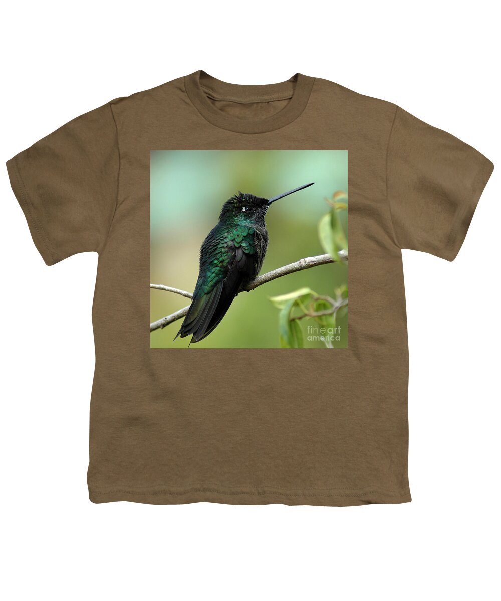 Hummingbird Youth T-Shirt featuring the photograph Hummingbird by Vivian Christopher