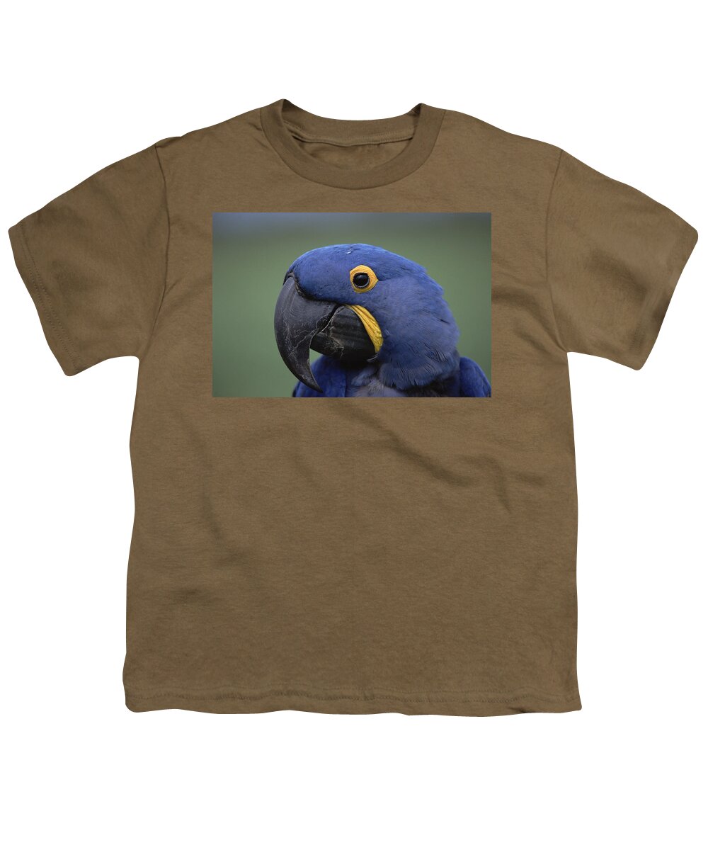 Mp Youth T-Shirt featuring the photograph Hyacinth Macaw Anodorhynchus by Konrad Wothe