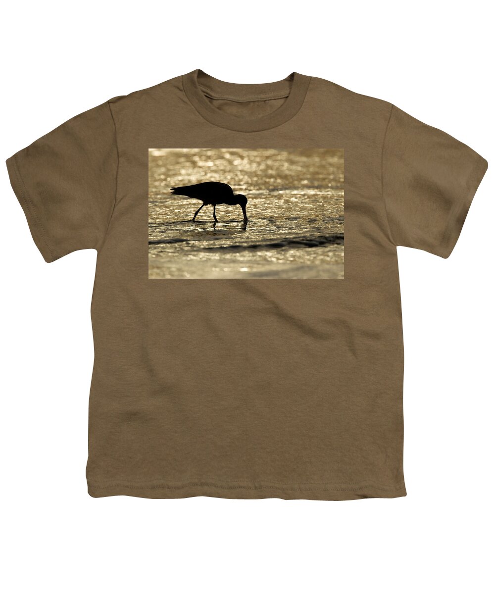 00429701 Youth T-Shirt featuring the photograph Marbled Godwit Foraging At Sunset by Sebastian Kennerknecht
