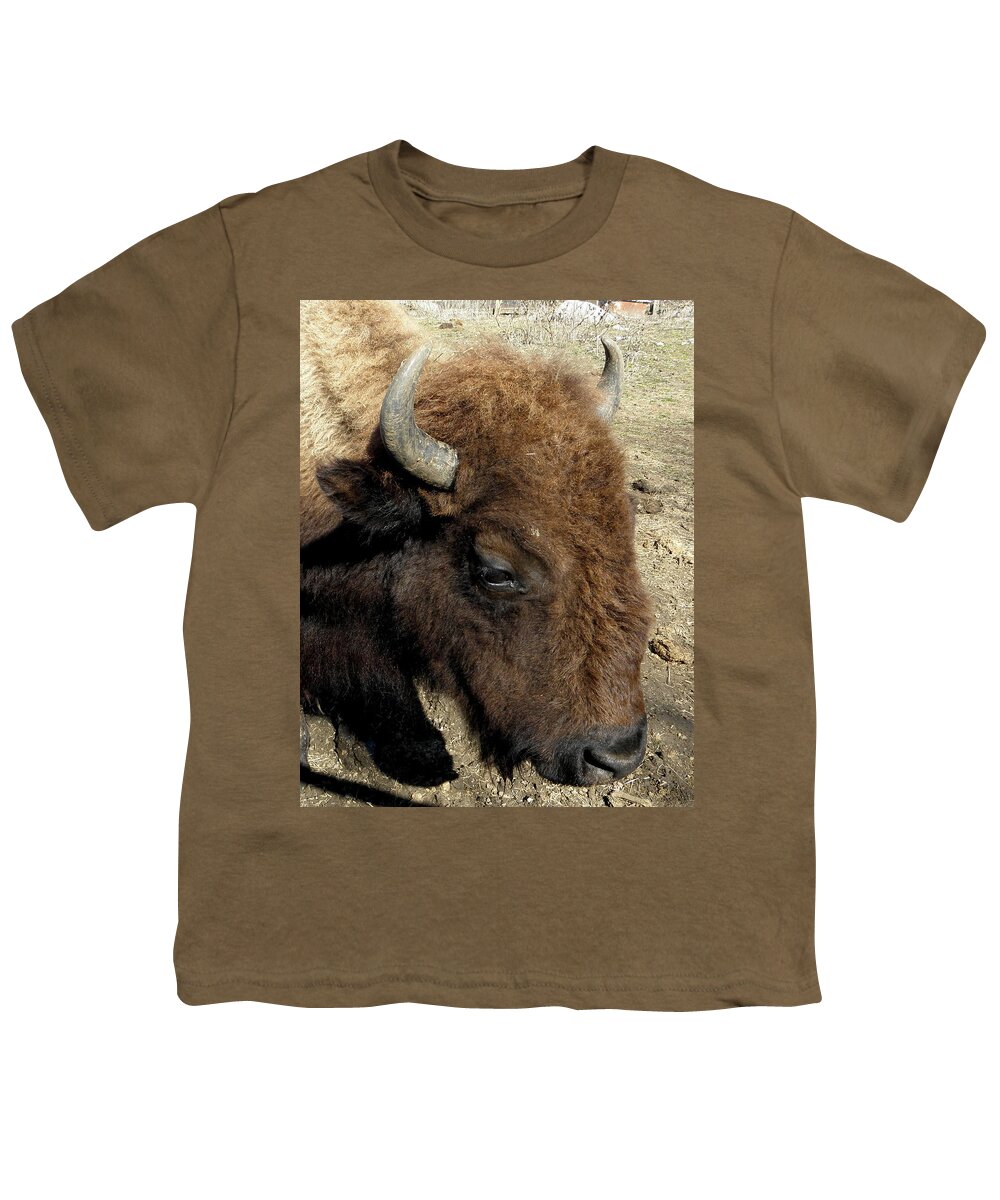 Buffalo Youth T-Shirt featuring the photograph Mrs Buffalo by Kim Galluzzo