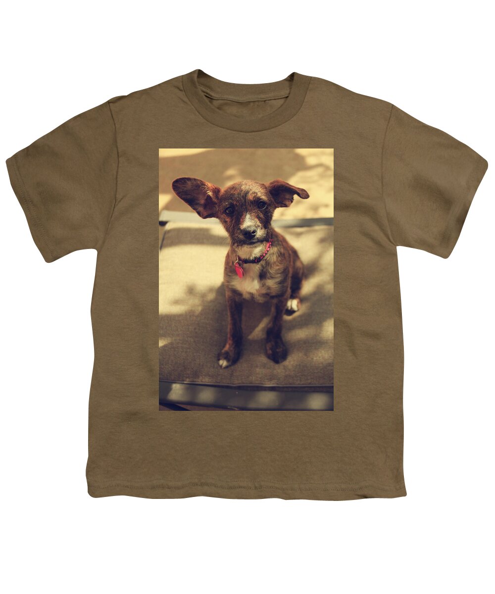 Dog Youth T-Shirt featuring the photograph Pepsi by Laurie Search