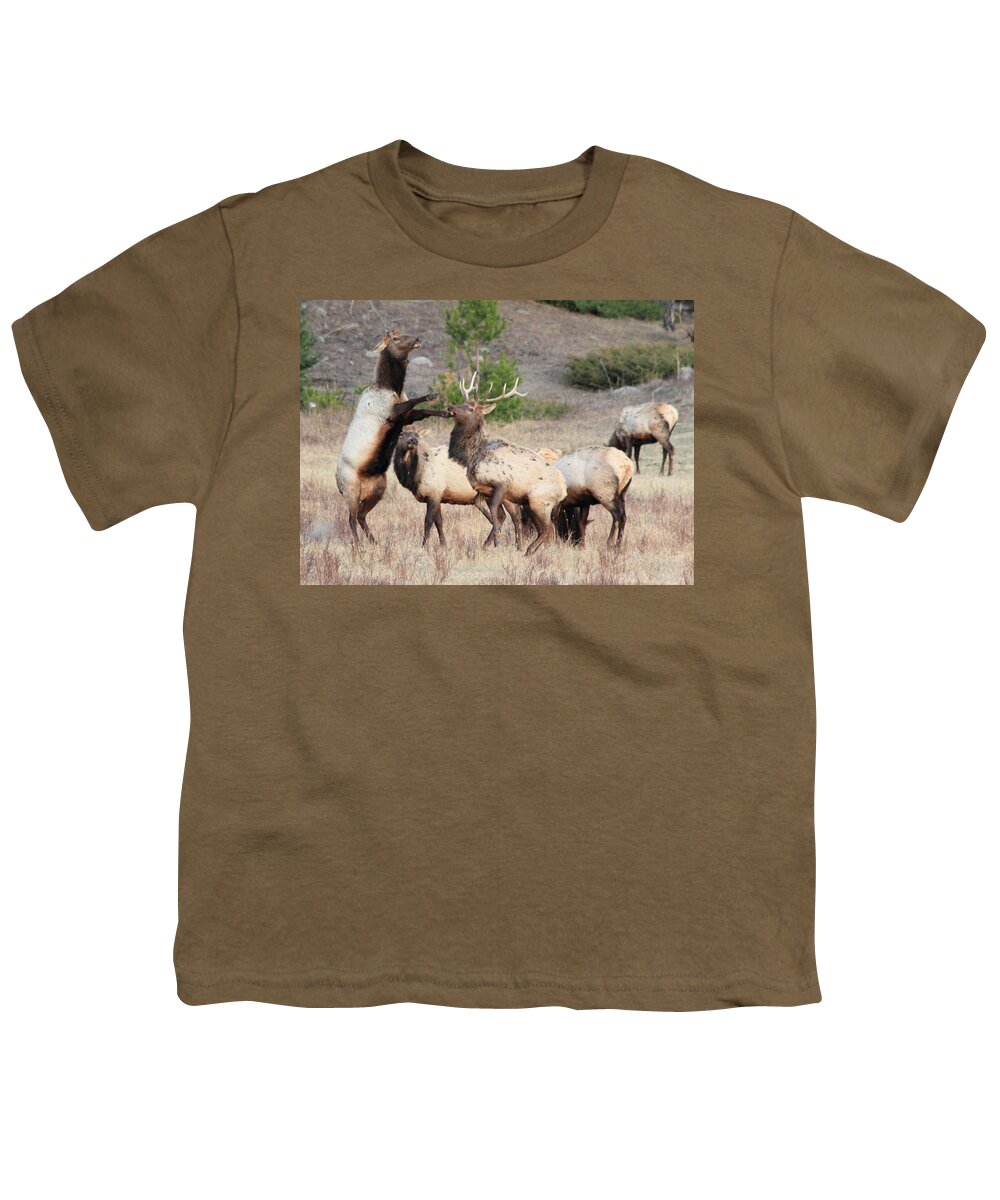 Elk Youth T-Shirt featuring the photograph Put Up Your Dukes by Shane Bechler