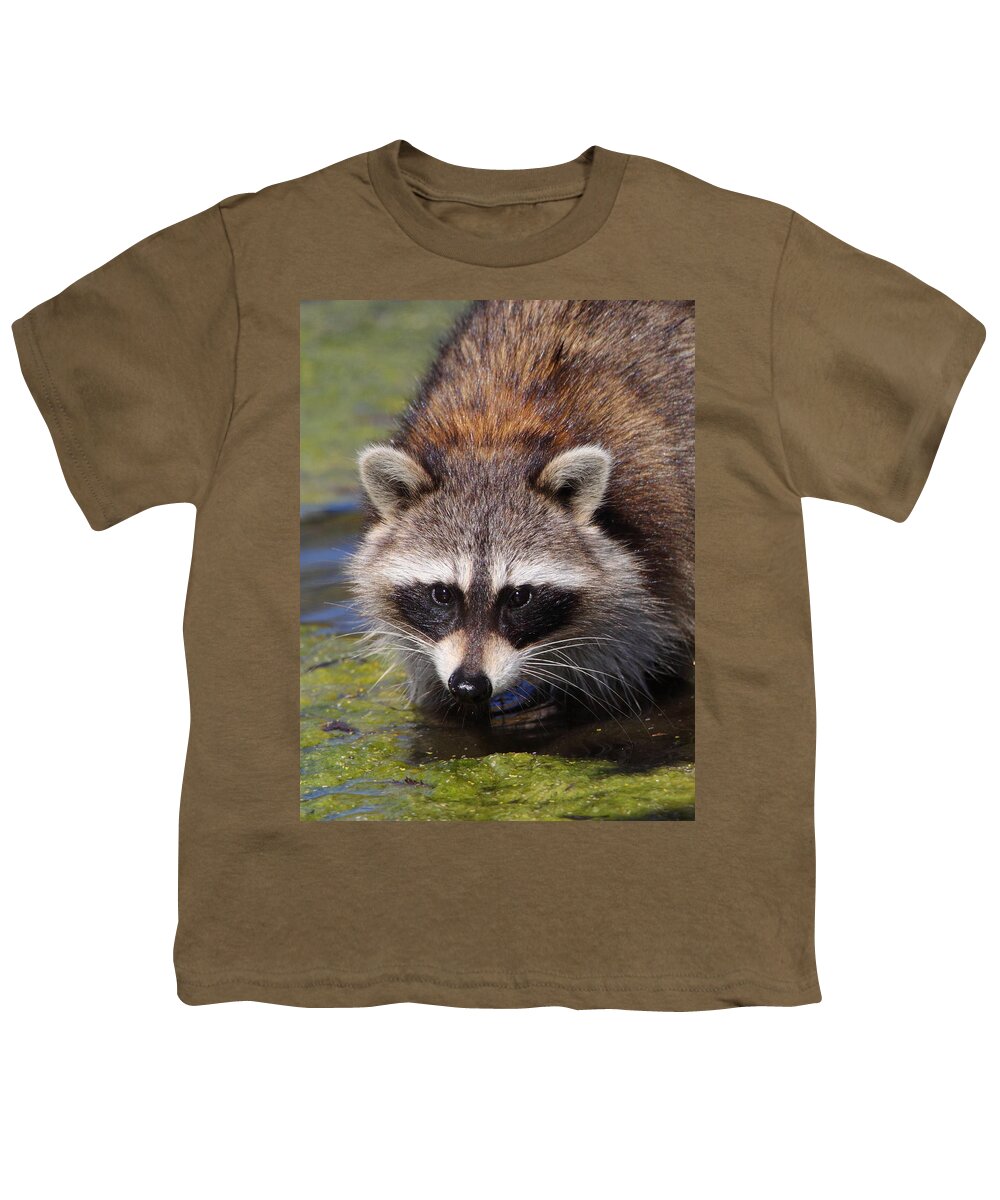 Raccoon Youth T-Shirt featuring the photograph Raccoon Portrait by Bruce J Robinson
