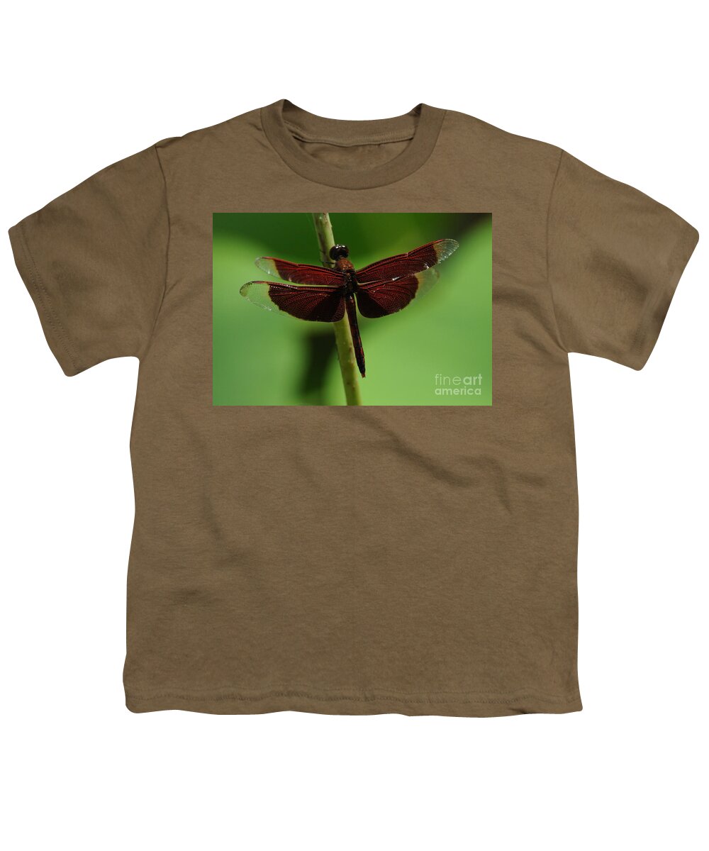 Neurothemis Ramburii Ramburii Youth T-Shirt featuring the photograph Red Dragonfly by Vivian Christopher