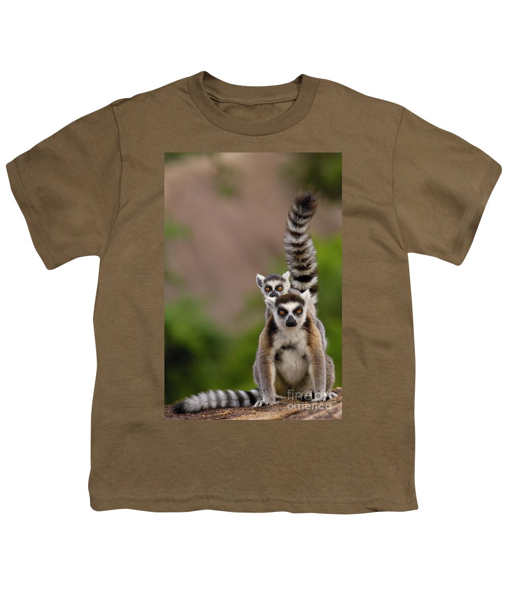 Mp Youth T-Shirt featuring the photograph Ring-tailed Lemur Lemur Catta Mother by Pete Oxford
