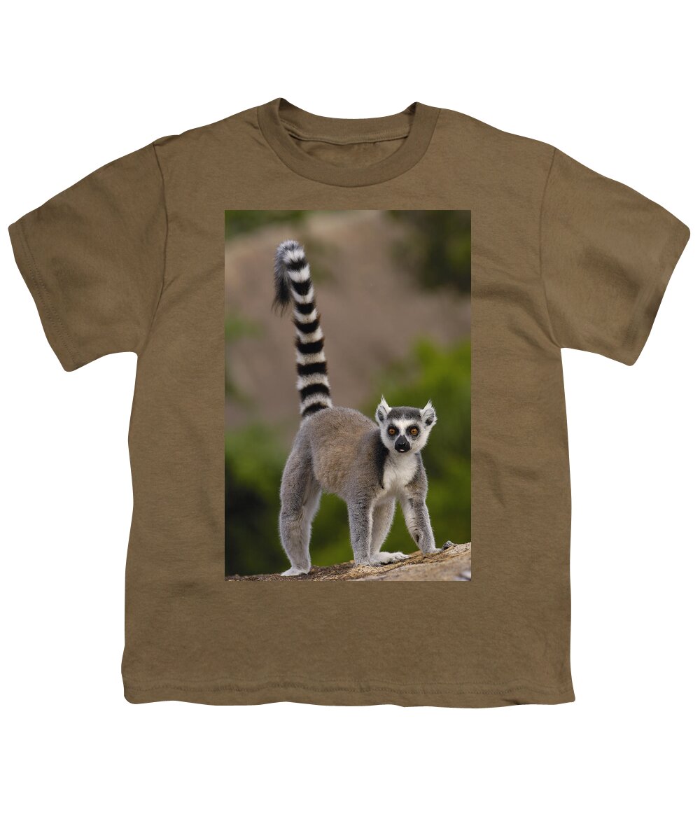 Mp Youth T-Shirt featuring the photograph Ring-tailed Lemur Lemur Catta Portrait by Pete Oxford