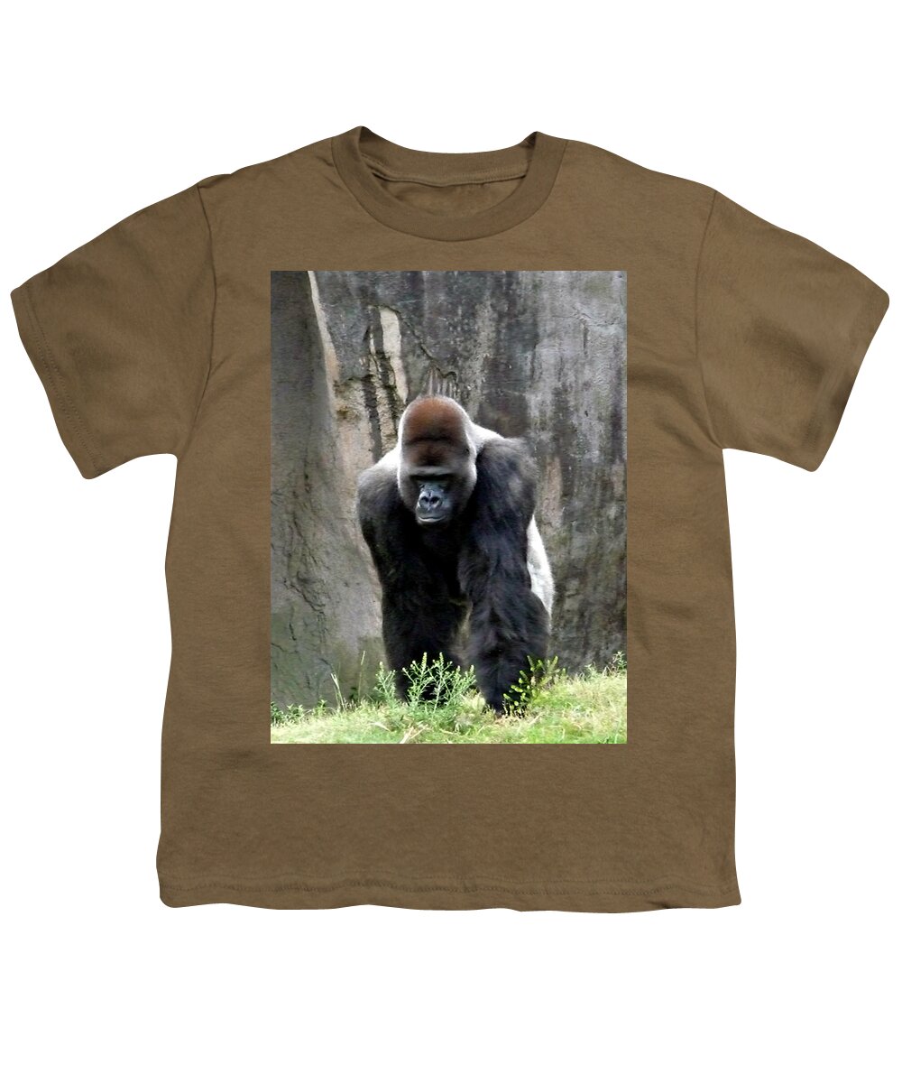 Gorilla Youth T-Shirt featuring the photograph Silverback by Jo Sheehan