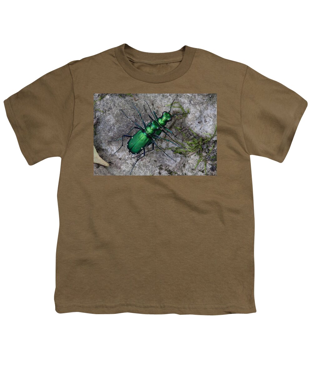 Cicindela Sexguttata Youth T-Shirt featuring the photograph Six-Spotted Tiger Beetles Copulating by Daniel Reed