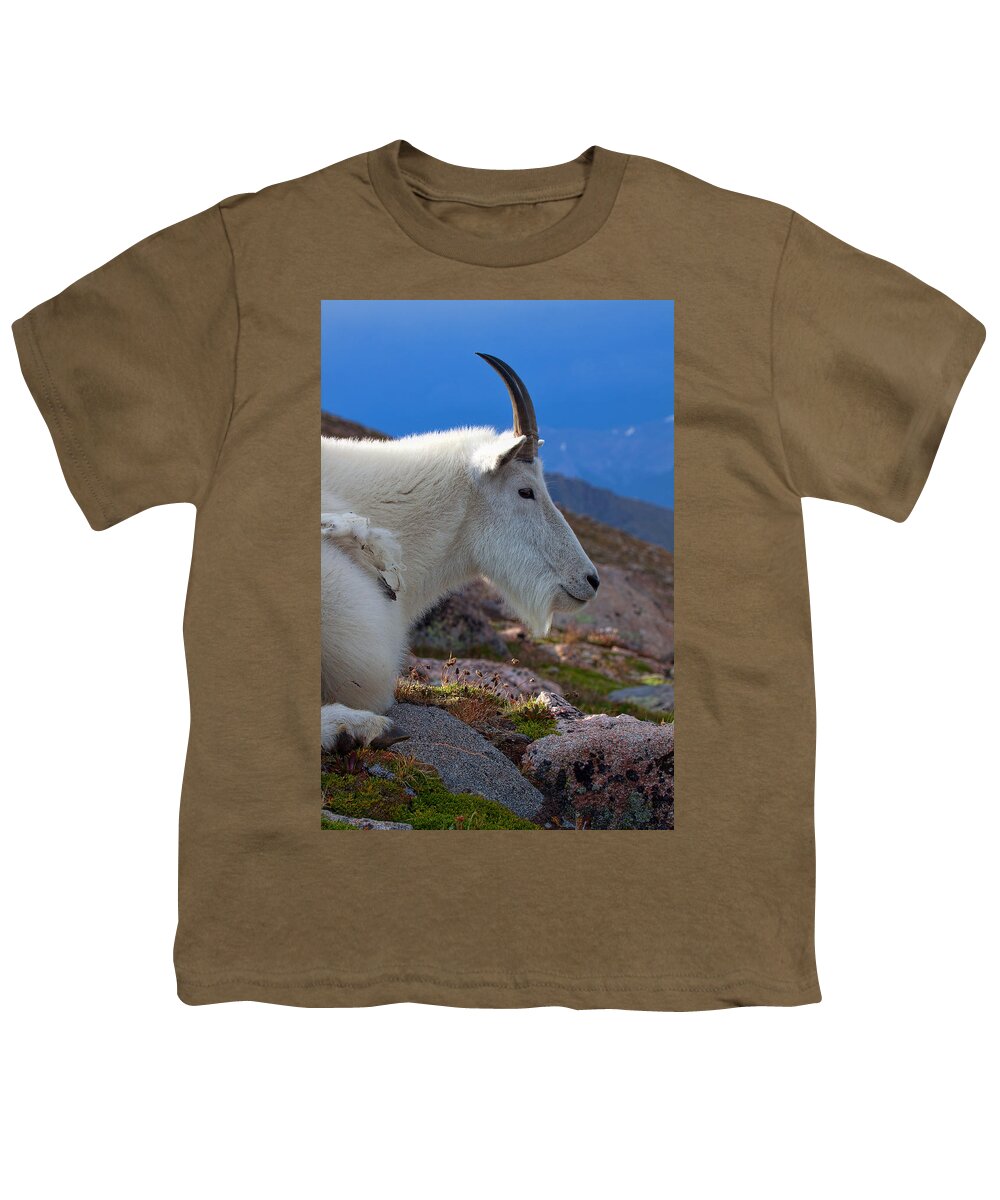 Mountain Goats Youth T-Shirt featuring the photograph The Gathering Storm by Jim Garrison