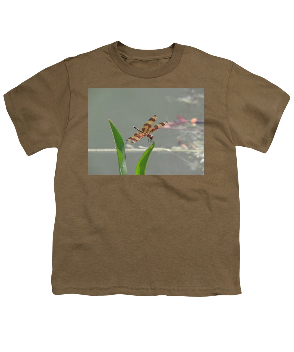 Stripes Youth T-Shirt featuring the photograph Tiger Stripe by Kim Galluzzo