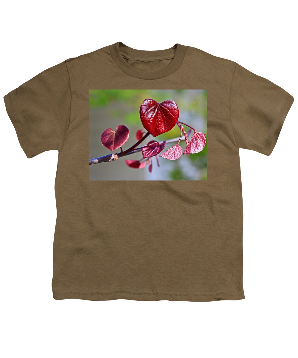 Hearts Youth T-Shirt featuring the photograph Tree Of Hearts by Heidi Smith