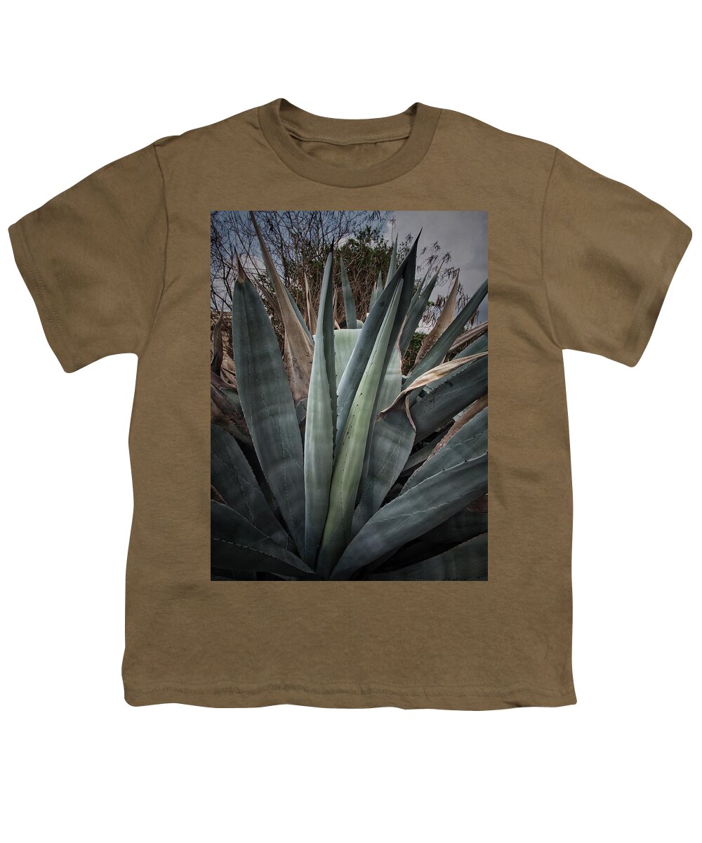 Agaves Youth T-Shirt featuring the photograph Agaves Plant #1 by Buck Buchanan
