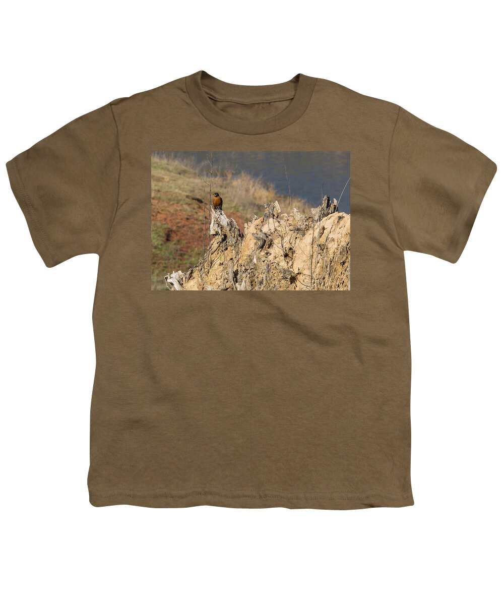 Jan Holden Youth T-Shirt featuring the photograph American Robin #1 by Holden The Moment