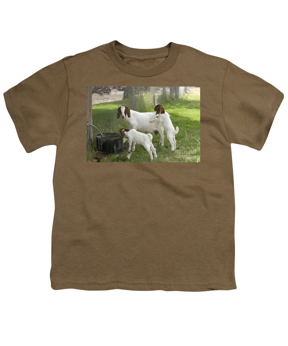 Boer Goat Youth T-Shirt featuring the photograph Goat With Kids by Inga Spence