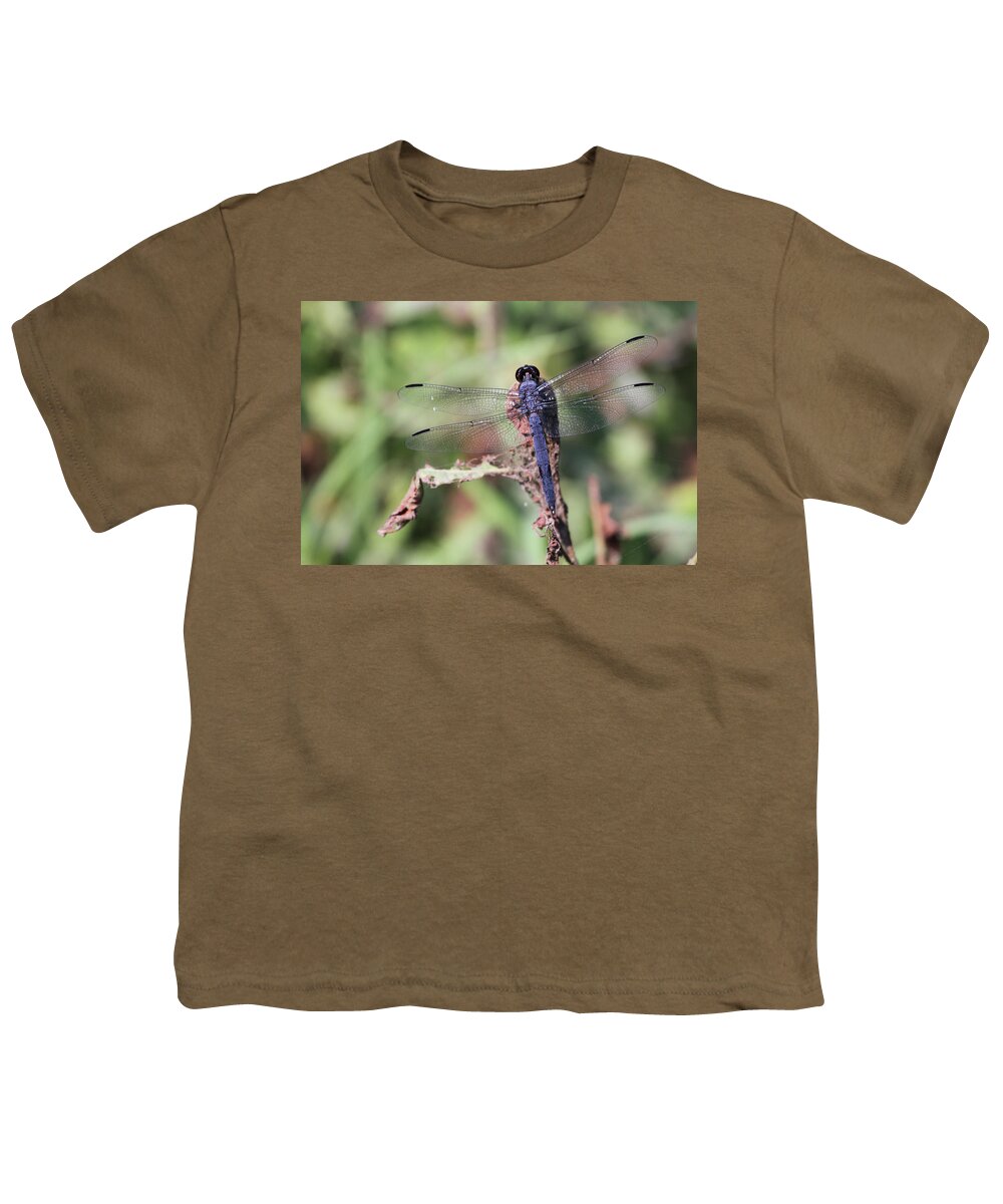 Bug Youth T-Shirt featuring the photograph Hanging on #1 by Karol Livote