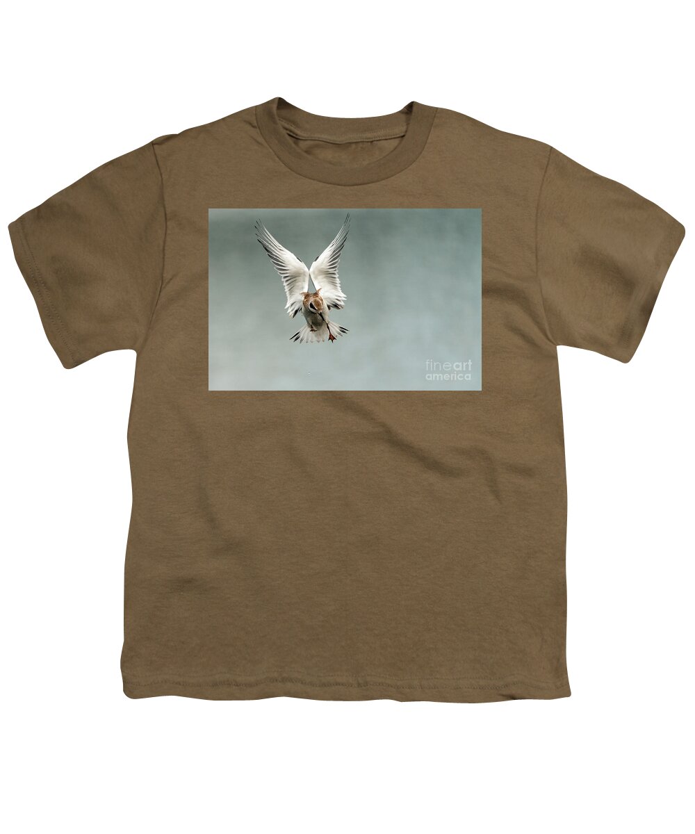 Tern Youth T-Shirt featuring the photograph Juvenile tern in flight #1 by Sam Rino