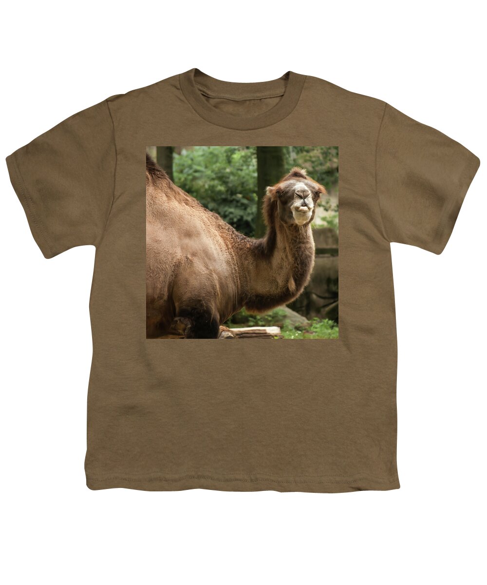 Animals Youth T-Shirt featuring the photograph Kisses #1 by Stewart Helberg