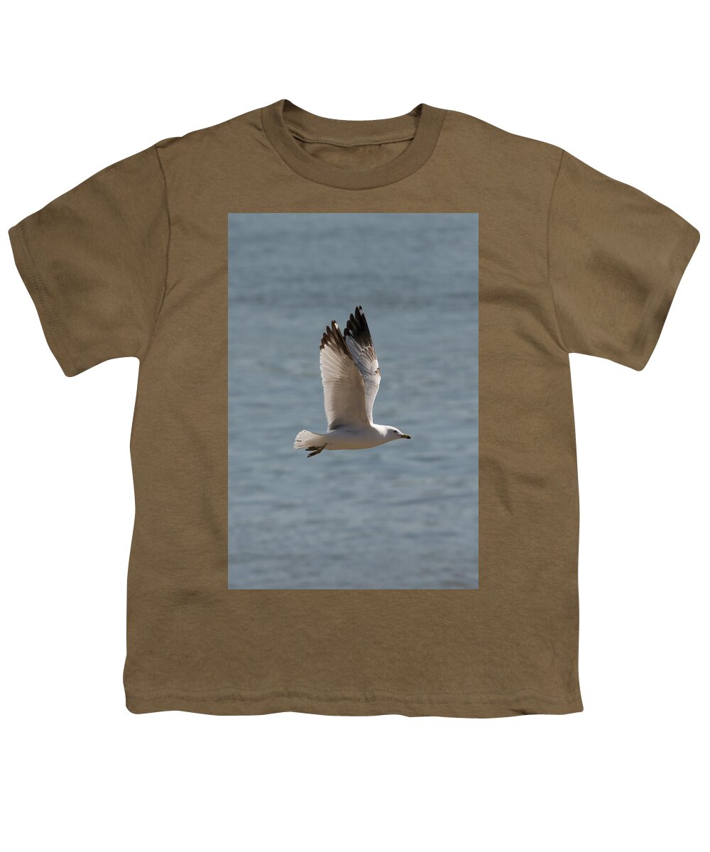 Ring Billed Gull Youth T-Shirt featuring the photograph Ring-Billed Gull by Holden The Moment