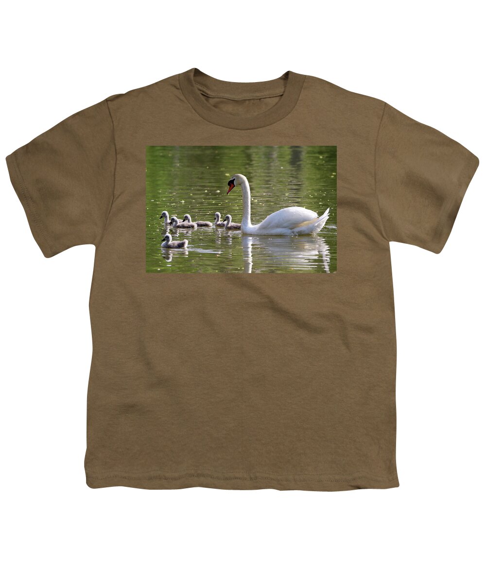 Swan Youth T-Shirt featuring the photograph Swan And Cygnets Stony Brook New York #1 by Bob Savage